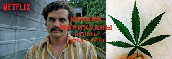 ГАЛЛЮЦИНОГЕННЫЕ ГРИБЫ Алексеевка