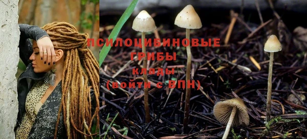ГАЛЛЮЦИНОГЕННЫЕ ГРИБЫ Алексеевка