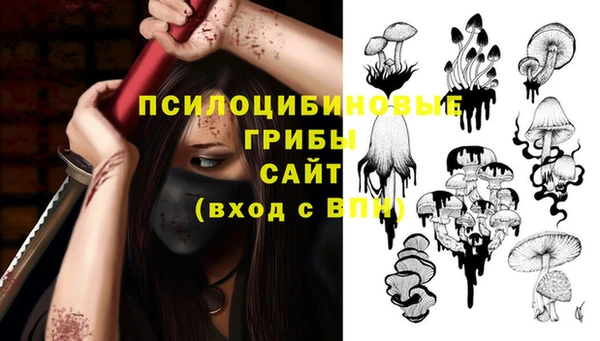не бодяженный Алзамай