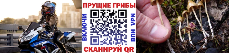 нарко площадка состав  Муром  Псилоцибиновые грибы Magic Shrooms  даркнет сайт 